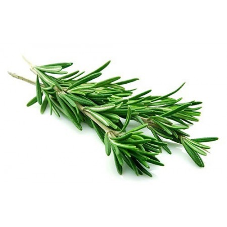 Essential Oil Natural ROSEMARY - 1