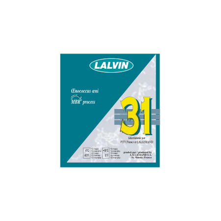 Lalvin 31® MBR - 1