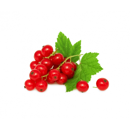 Flavour RED CURRANT 1:400